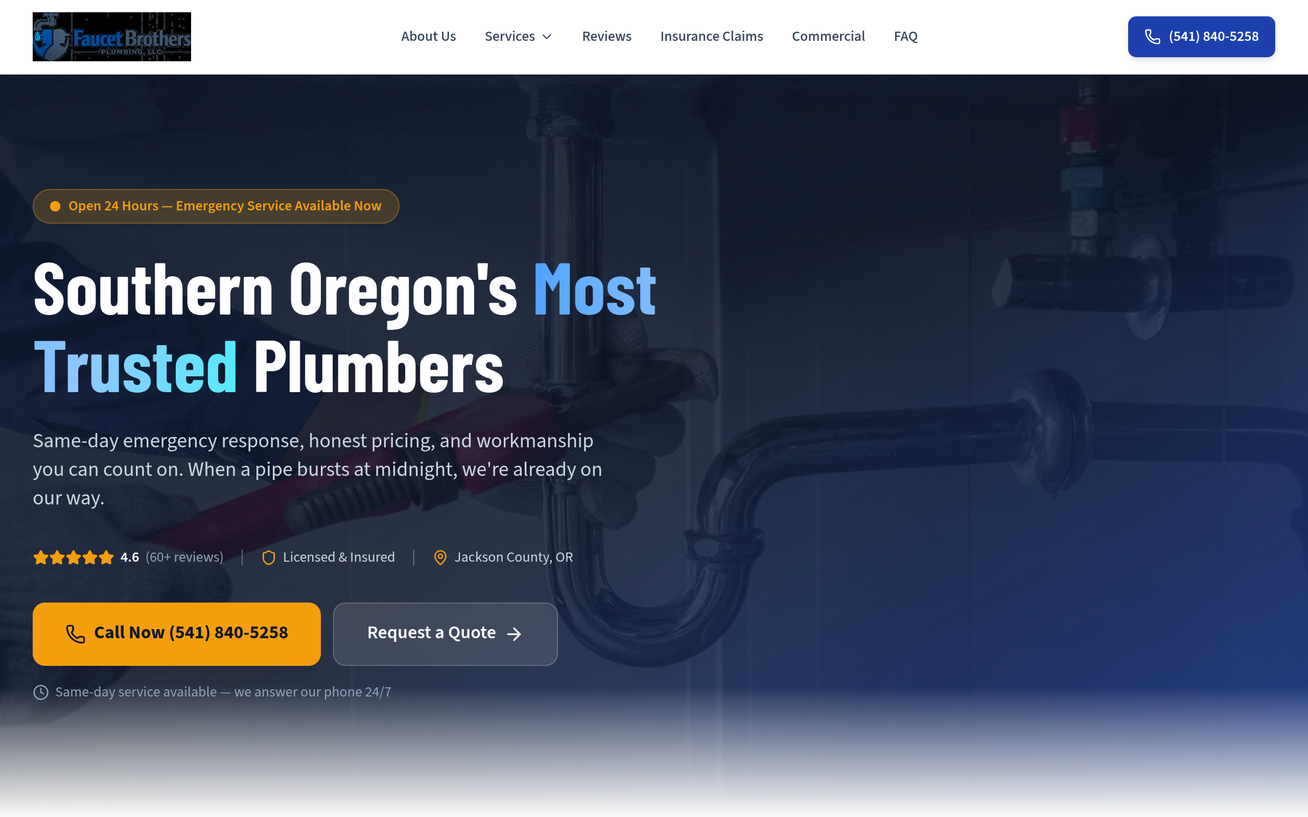 Faucet Brothers Plumbing LLC website screenshot
